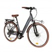 Vélo de ville électrique Everyway E250 gris 28" Wayscral